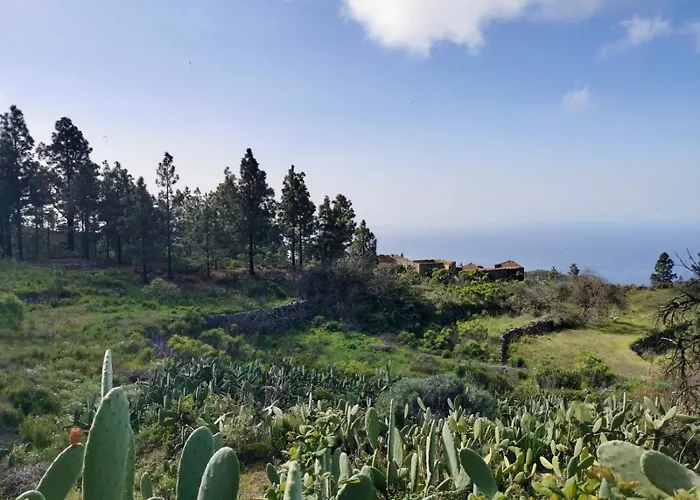 Tierrazul Art Boutique White Nordic Apartment Costa Adeje (Tenerife)