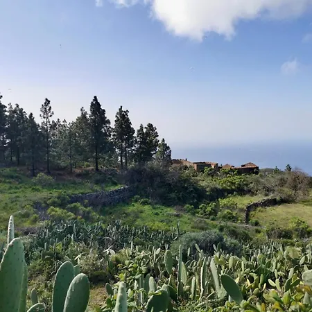 Tierrazul Art Boutique White Nordic Apartment Costa Adeje (Tenerife)